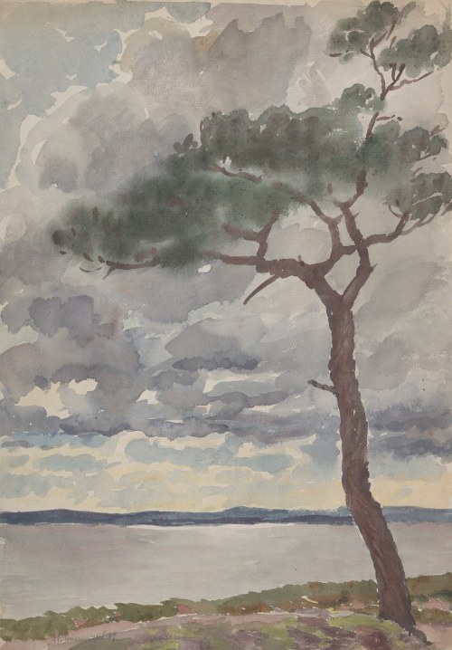 „Nadmorska sosna”, 1969, Henryk Starzyński