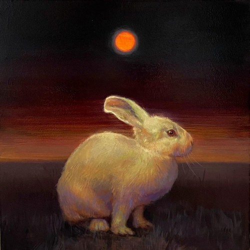 O północy /2024, Małgorzata Cicholarz