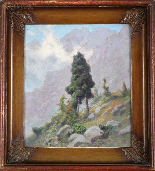 "Limba w Tatrach", Zefiryn Ćwikliński