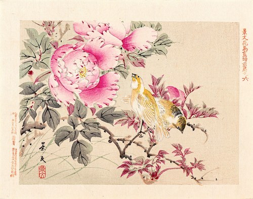 Kioto), Ptaki i peonie, Osaka, 1892, Keibun Matsumura