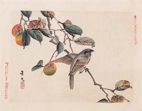 Kioto), Ptak i persymona, Osaka, 1892, Keibun Matsumura