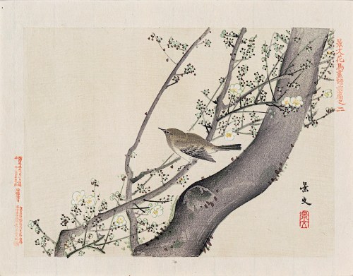 Kioto), Ptak na kwitnącej jabłoni, Osaka, 1892, Keibun Matsumura