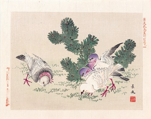 Kyōto), Gołębie, Osaka, 1892, Keibun Matsumura