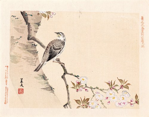 Kyōto), Ptak i gałązka kwitnącej wiśni, Osaka, 1892, Keibun Matsumura