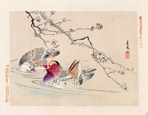 Kyōto), Para kaczek, Osaka, 1892, Keibun Matsumura