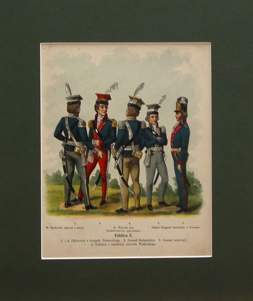 Powstanie kościuszkowskie,1794,Tablica3, Wojsko Kościuszki