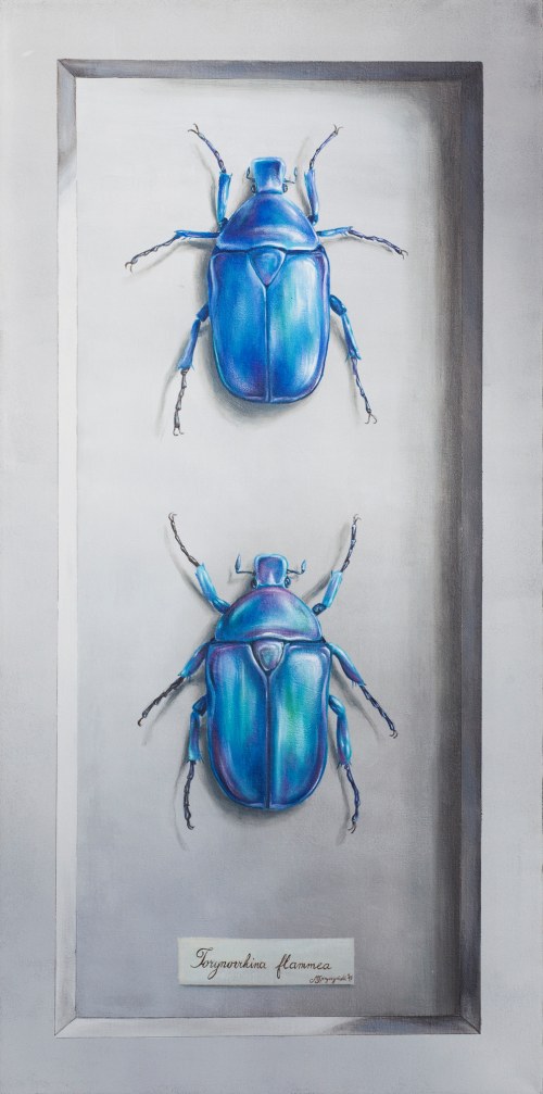 T.f., 2017, Michał Spryszyński