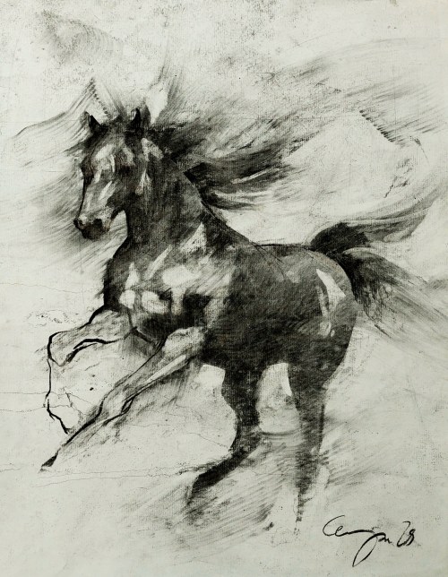 Equestrian 02/24, Anita Cempa