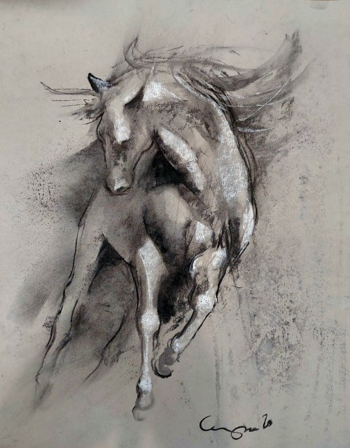 Equestrian 03/24, Anita Cempa