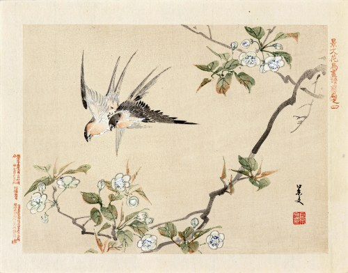 Kyōto), Jaskółki i kwitnąca wiśnia, Osaka, 1892, Keibun Matsumura