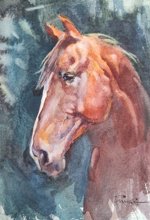 "Koń" 30x21, Aleksander Franko
