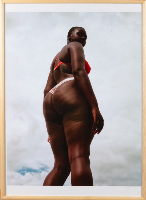 Z cyklu "Graceful. Botero Girls", 2018, Zuzanna Krajewska