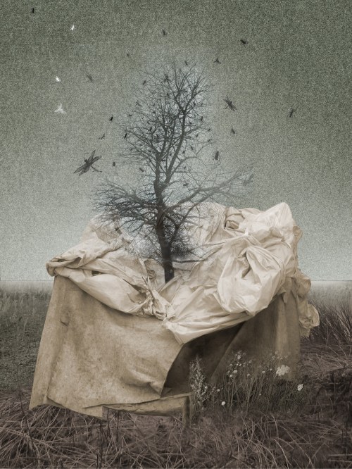 INVISIBILIS, 2013, Konrad Kucz