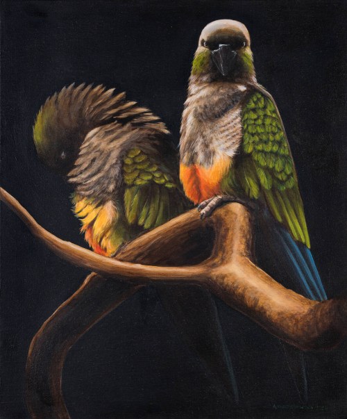 Relationship, 2024, Aleksandra Kwapiszewska