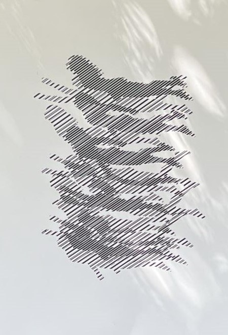 Grafika, Bartosz Sucharski