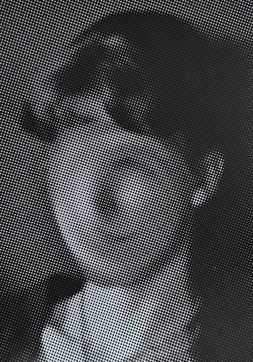Szklany klosz, Katarzyna Nawotka