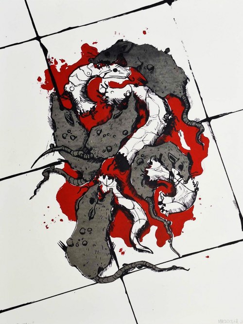 TAIL OVER TAIL, Aleksandra Miedzińska