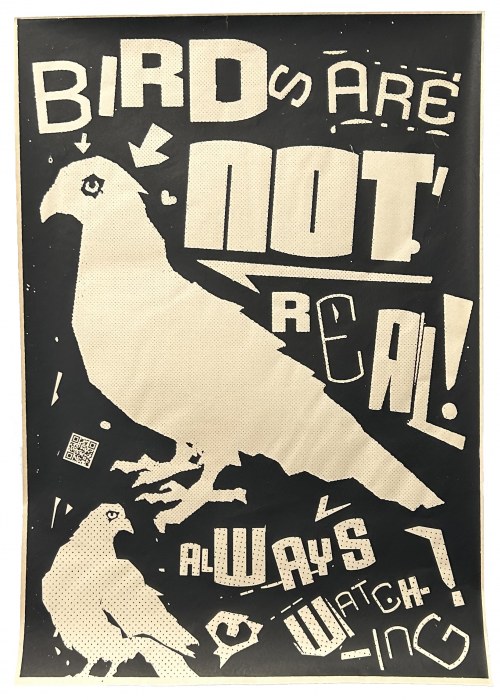 Birds are not real, Julian Achilles Pawlak