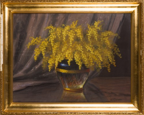 Mimozy, K. B. Sapierski