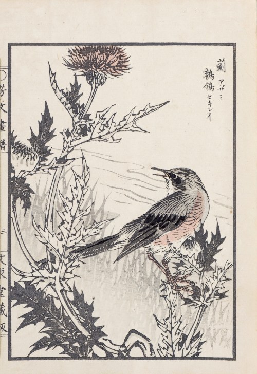 Ptak i osty, Kioto, 1890, Kikuchi Hobun