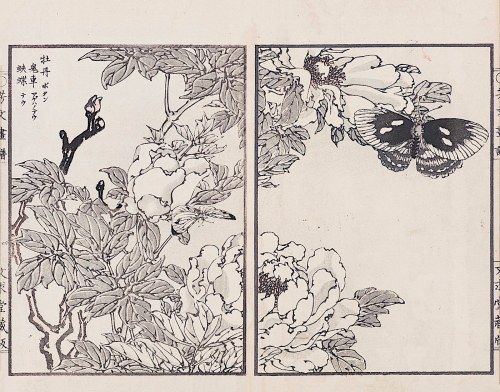 Motyle i dzika róża, Kioto, 1890, Kikuchi Hobun
