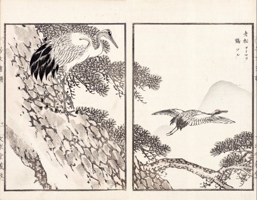 Żurawie, Kioto, 1890, Kikuchi Hobun