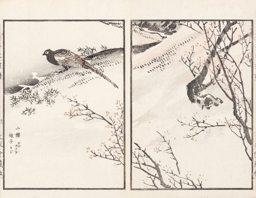 Bażant w śniegu, Tokio, 1890, Kikuchi Hobun