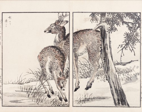 Na polance, Kioto, 1890, Kikuchi Hobun