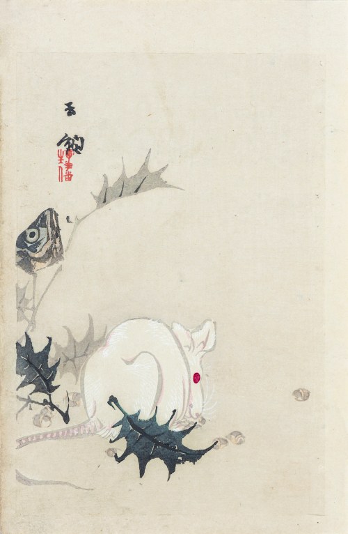Nakamura Busuke, Biały szczur, Kioto, 1892, Yamada Kōtarō