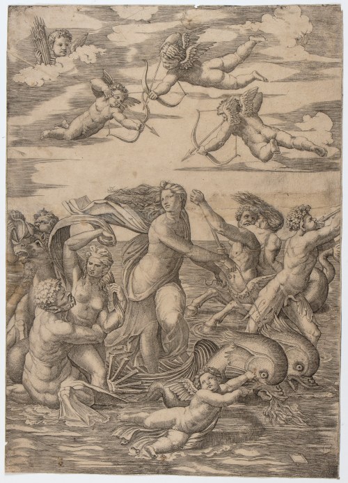 Galatea, Marcantonio Raimondi
