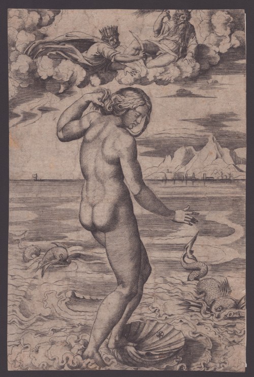 Narodziny Wenus, Marco Dente da Ravenna