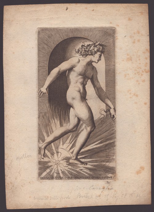Apollo, Jacopo Caraglio
