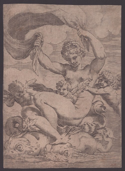 Wenus lub Galatea, Agostino Carracci
