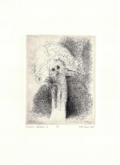 Camera obscura 2, 2007, Piotr Kenc