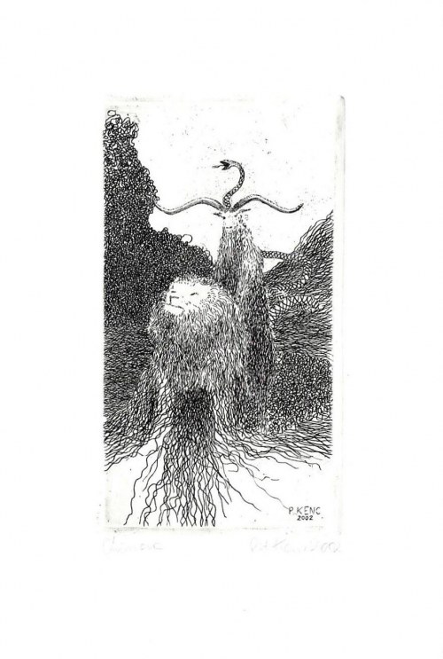 Chimera, 2002, Piotr Kenc