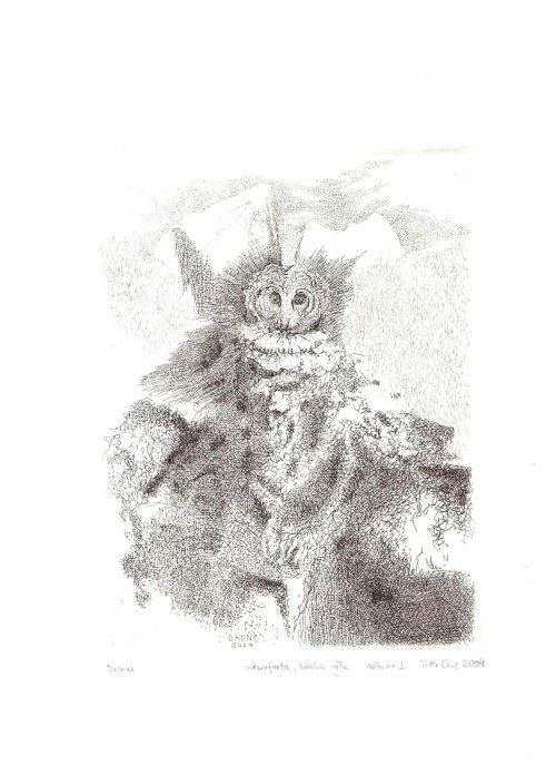 Sowa, 2004, Piotr Kenc