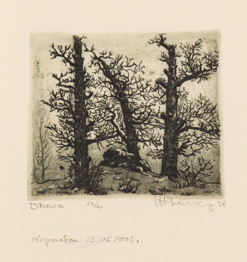 Drzewa, 1958, Marian Leciej