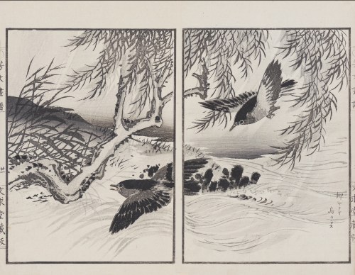 Wierzba i ptaki, Kioto, 1890, Kikuchi Hobun