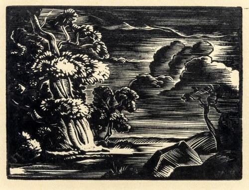 Forest, Jerzy Hoppen