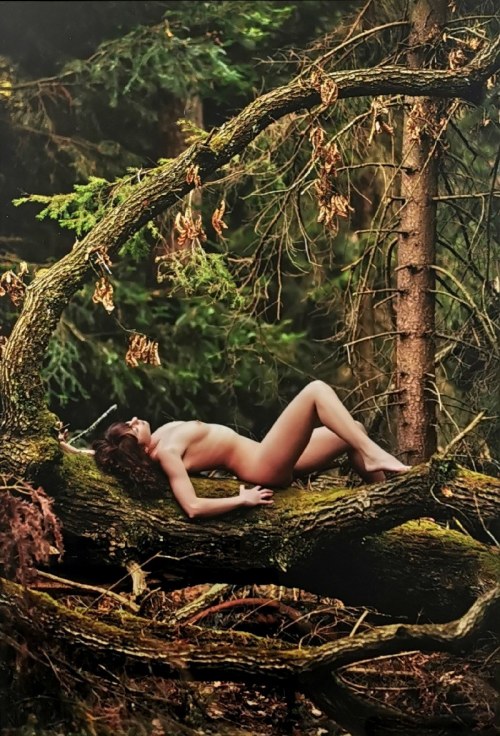 Spring, 2015/2020, Łukasz Gurdak