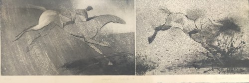 Leaps, 2000, Paweł Zabłocki