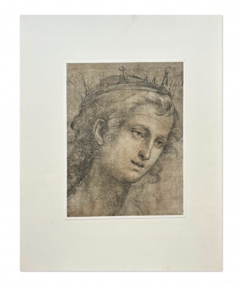 A Saint's head, Fra Bartolommeo