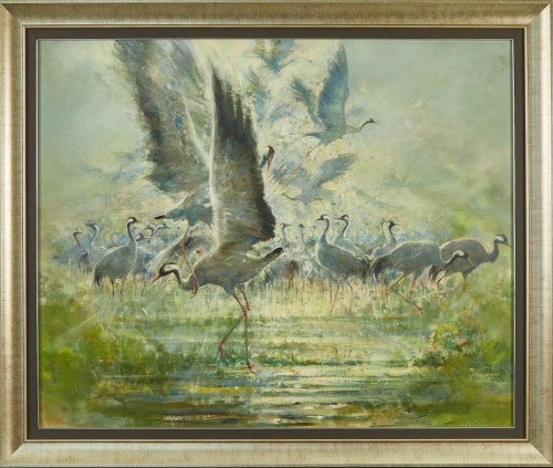 Żurawie, 2019, Daniel Pielucha