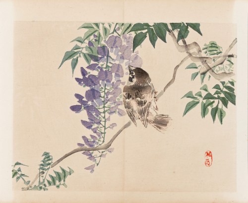 wyd. Yamada Shinzaburo, Wróbel i glicynia, Kioto, 1913 r., Kōno Bairei