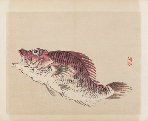 wyd. Yamada Shinzaburo, Ryba kasago, Kioto, 1913 r., Kōno Bairei