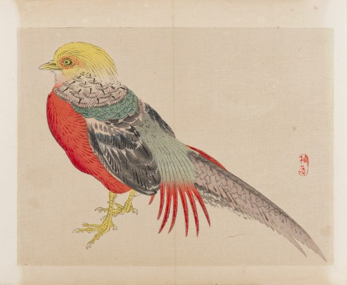 wyd. Yamada Shinzaburo, Bażant złocisty, Kioto, 1913 r., Kōno Bairei