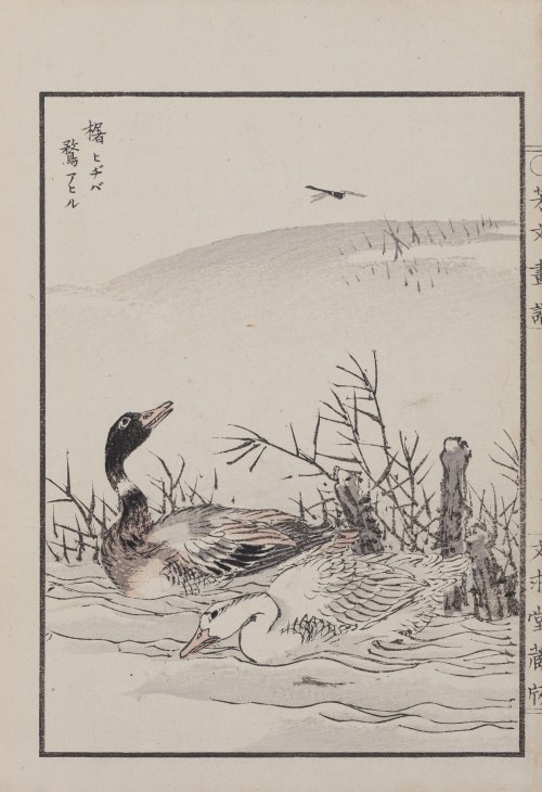 Para kaczek i ważka, Kioto, 1890, Kikuchi Hobun