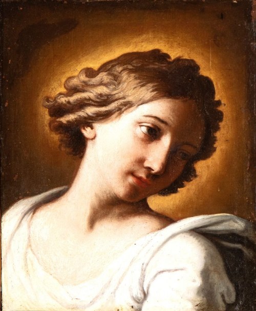 Głowa anioła, Il Cavalier Perugino