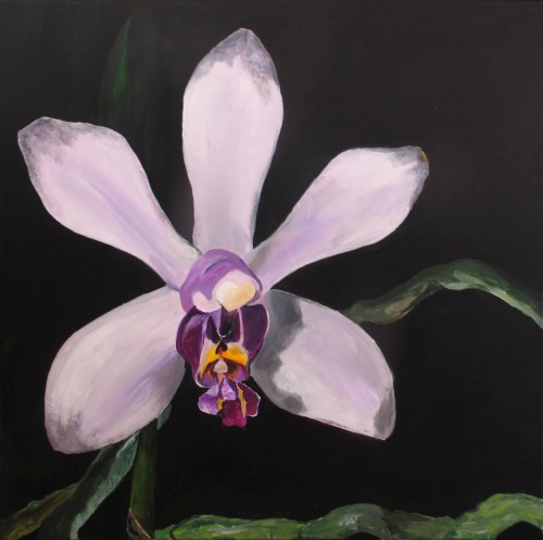 012. Orchidea, 2018, No Name