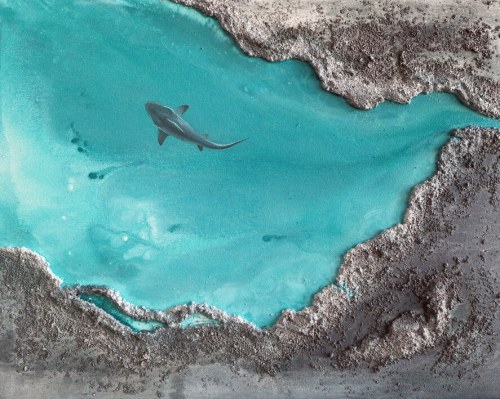 Mondrago, 2019, Izabela Olszyna